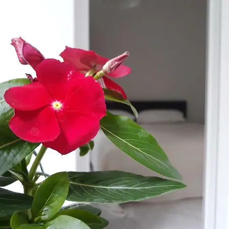 Peach House Ii Apartment Kavala